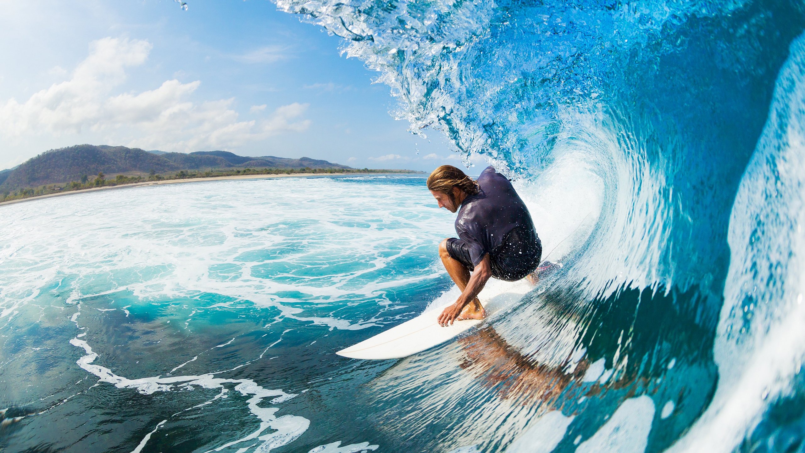 格林伍德凭借精准预判与坚决防守，帮助袋鼠队制胜，格林伍德打什么位置